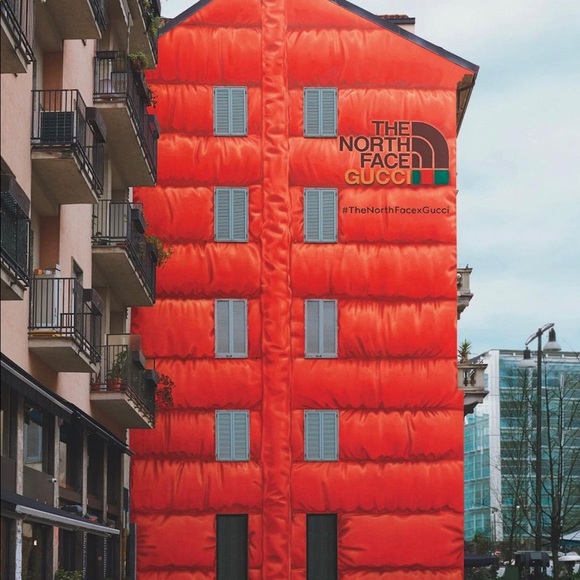 Meet your Posher, Toney - Picture 1 of 1